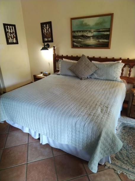 Bed and Breakfast Buona Notte Johannesburg Exterior foto